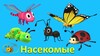 Мир крымских насекомых #дистанционное обучение